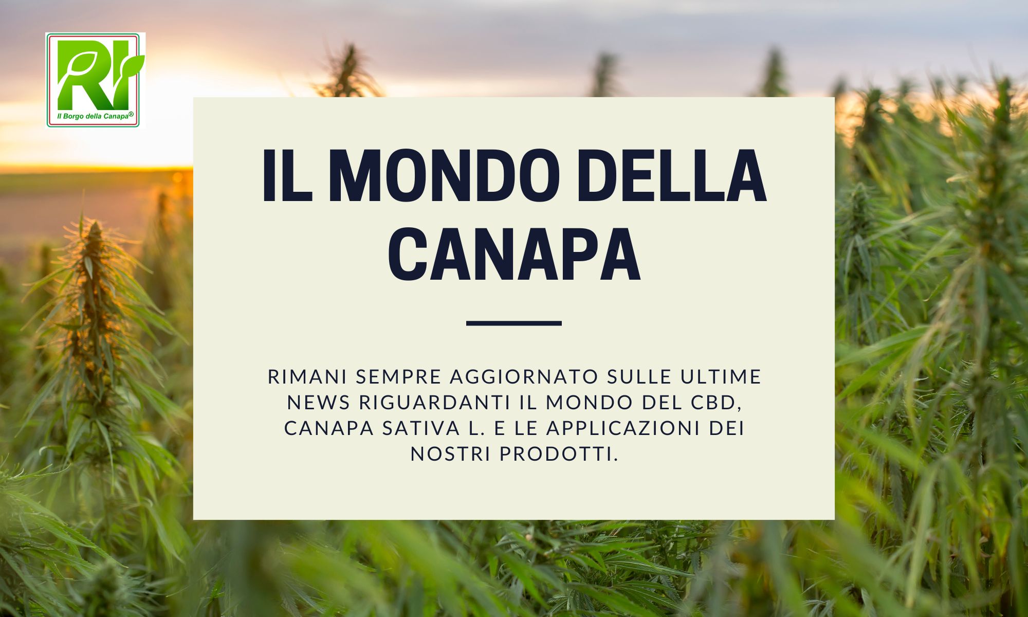 il blog