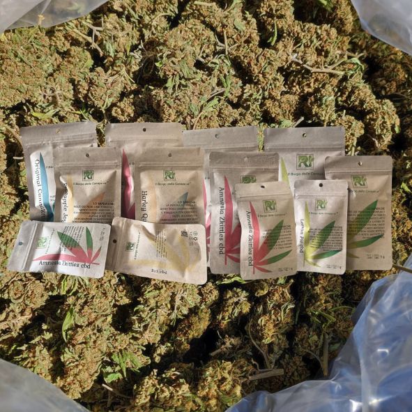 cannabis cbd ed estratti
